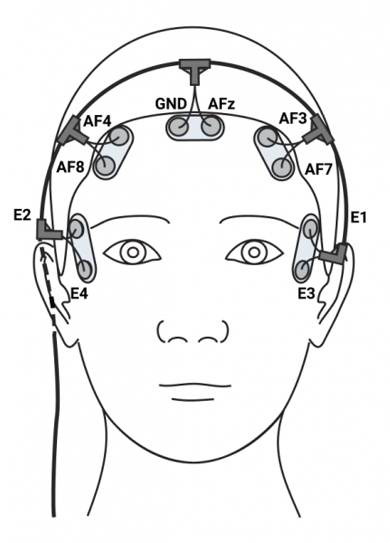 frontaleeg.png frontaleeg.png