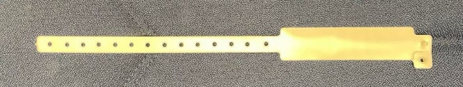 wristband.png wristband.png